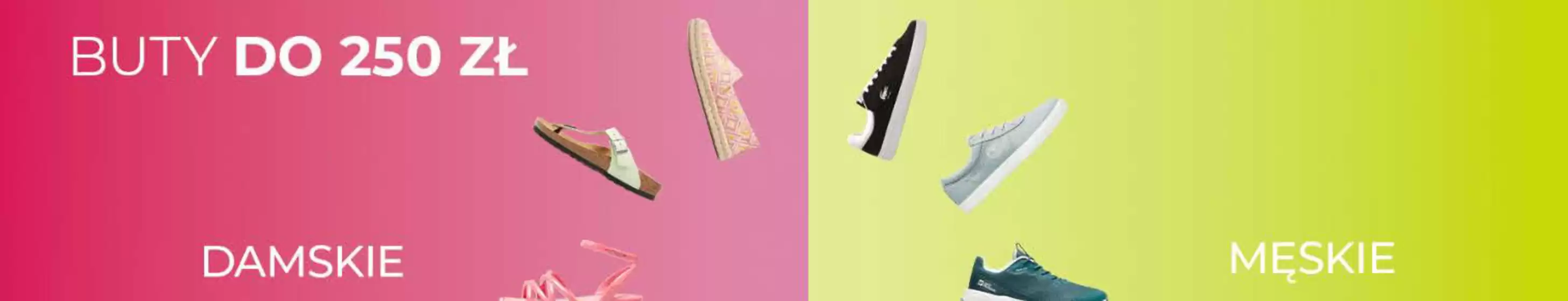 Katalog Symbiosis w: Grajewo | Do 250 zł | 2026-05-19T00:00:00.000Z - 2026-06-14T00:00:00.000Z