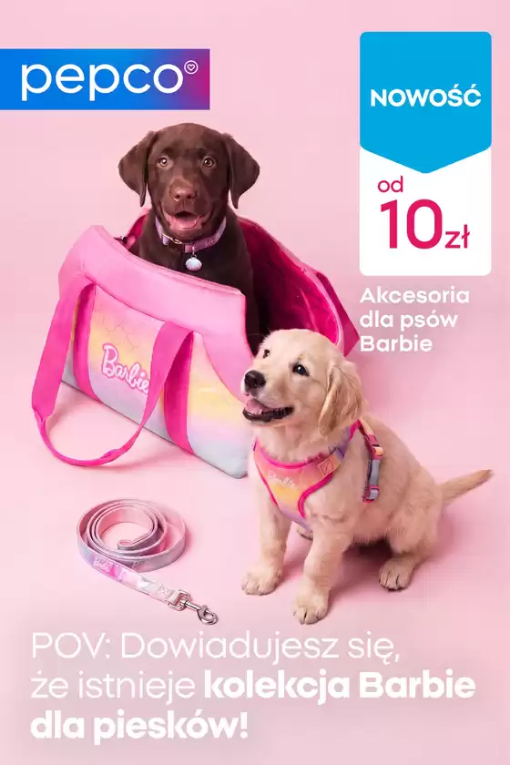 Katalog Pepco w: Zaczernie | Pepco gazetka | 2026-06-03T00:00:00.000Z - 2026-06-17T00:00:00.000Z