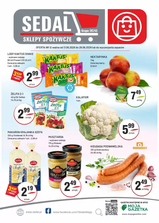 Katalog Sedal w: Jastrzębie-Zdrój | Oferta nr 12 ważna od 17.06.2026 do 28.06.2026  | 2026-06-17T00:00:00.000Z - 2026-06-28T00:00:00.000Z