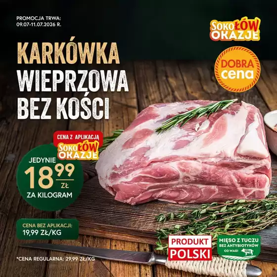 Katalog Gzella w: Sokółka | Wielkie promocje | 2026-07-10T00:00:00.000Z - 2026-07-11T00:00:00.000Z