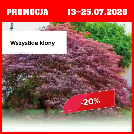 Katalog Szarotka w: Pabianice | Promocja do 25.07 | 2026-07-13T00:00:00.000Z - 2026-07-25T00:00:00.000Z