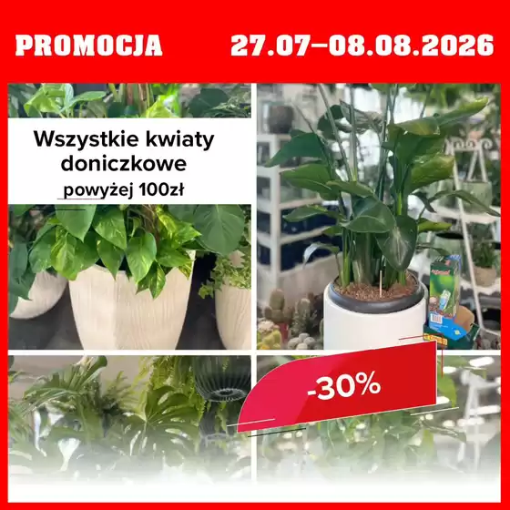 Katalog Szarotka w: Starachowice | Promocja do 8.08  | 2026-07-28T00:00:00.000Z - 2026-08-08T00:00:00.000Z