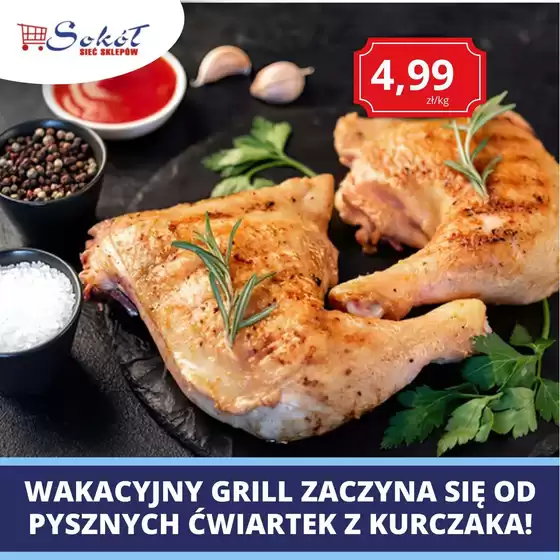 Katalog Sokół w: Krościenko nad Dunajcem | Ekskluzywne oferty i okazje | 2026-07-31T00:00:00.000Z - 2026-08-14T00:00:00.000Z