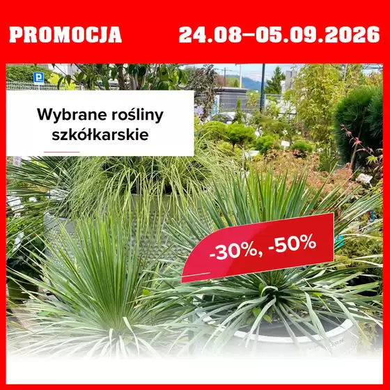 Katalog Szarotka w: Łęczna | Promocja do 5.09 | 2026-08-31T00:00:00.000Z - 2026-09-05T00:00:00.000Z