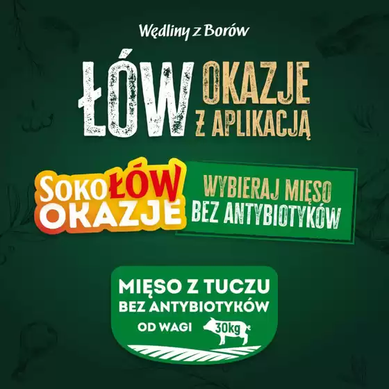 Katalog Gzella w: Katowice | SokoŁÓW OKAZJE | 2026-08-31T00:00:00.000Z - 2026-09-02T00:00:00.000Z
