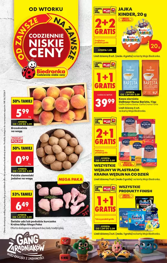 Katalog Biedronka | Codziennie niskie ceny L - oferta od 01.09 | 2026-09-01T00:00:00.000Z - 2026-09-15T00:00:00.000Z