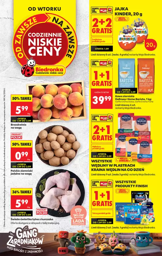 Katalog Biedronka | Codziennie niskie ceny L - oferta od 01.09 | 2026-09-01T00:00:00.000Z - 2026-09-15T00:00:00.000Z