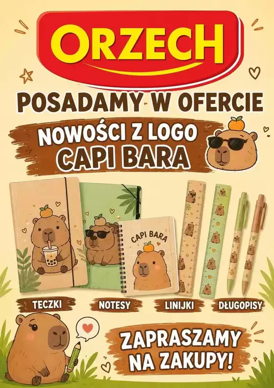 Katalog Orzech | Najlepsze oferty dla oszczędnych | 2026-09-02T00:00:00.000Z - 2026-09-16T00:00:00.000Z