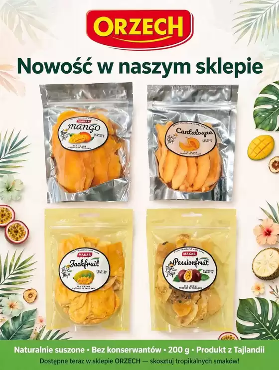 Katalog Orzech | Atrakcyjne oferty specjalne dla wszystkich | 2026-09-05T00:00:00.000Z - 2026-09-19T00:00:00.000Z