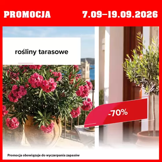 Katalog Szarotka w: Głuchołazy | Promocja do 19.09  | 2026-09-08T00:00:00.000Z - 2026-09-19T00:00:00.000Z