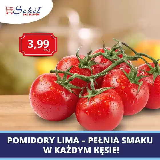 Katalog Sokół | Aktualne promocje specjalne | 2026-09-18T00:00:00.000Z - 2026-10-02T00:00:00.000Z
