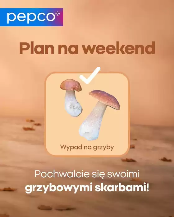 Katalog Pepco | Szeroki wybór ofert | 2026-09-24T00:00:00.000Z - 2026-10-08T00:00:00.000Z