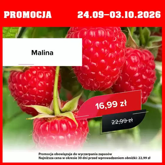Katalog Szarotka w: Police | Promocja do 3.10 | 2026-09-24T00:00:00.000Z - 2026-10-03T00:00:00.000Z