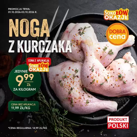 Katalog Gzella w: Chojnice | Sokołów okazje | 2026-10-01T00:00:00.000Z - 2026-10-03T00:00:00.000Z