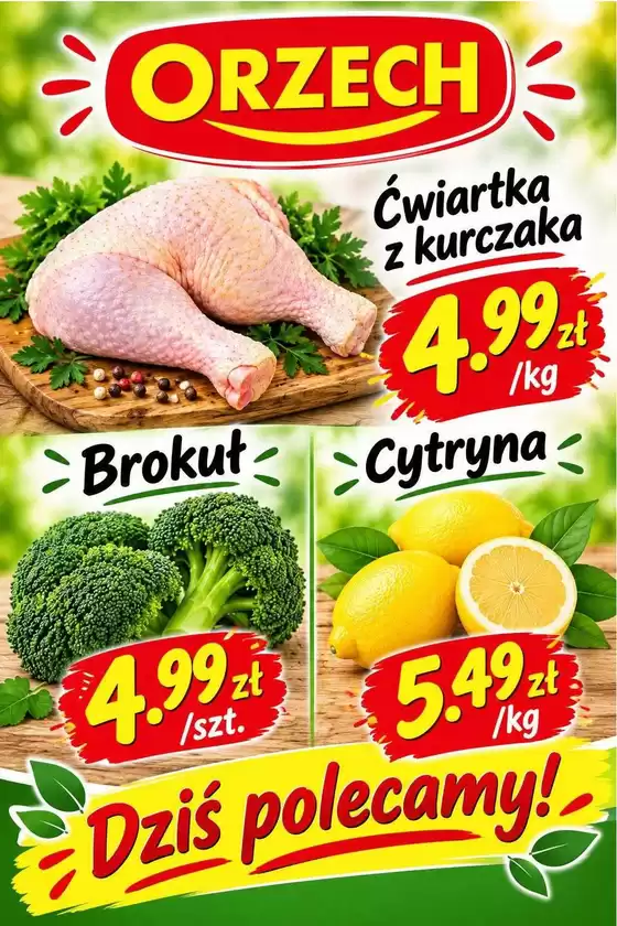 Katalog Orzech w: Kobierzyce | Nasze najlepsze oferty dla Ciebie | 2026-10-01T00:00:00.000Z - 2026-10-31T00:00:00.000Z