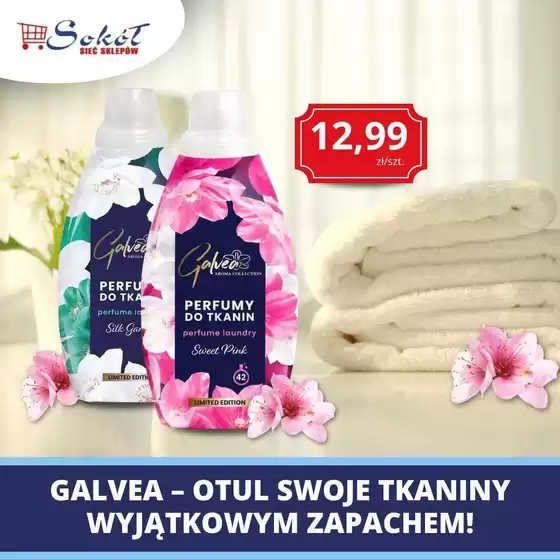 Katalog Sokół w: Brzeziny | Specjalne oferty dla Ciebie | 2026-10-11T00:00:00.000Z - 2026-10-25T00:00:00.000Z