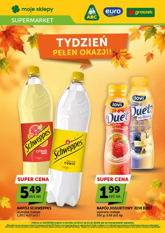 Katalog Euro Sklep | Euro Sklep gazetka | 2026-10-15T00:00:00.000Z - 2026-10-21T00:00:00.000Z