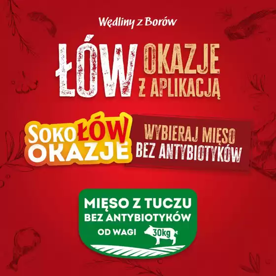 Katalog Gzella | Od 19 do 21 października | 2026-10-19T00:00:00.000Z - 2026-10-21T00:00:00.000Z