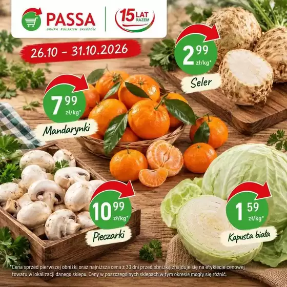 Katalog Passa | Najlepsze oferty i rabaty | 2026-10-26T00:00:00.000Z - 2026-10-31T00:00:00.000Z