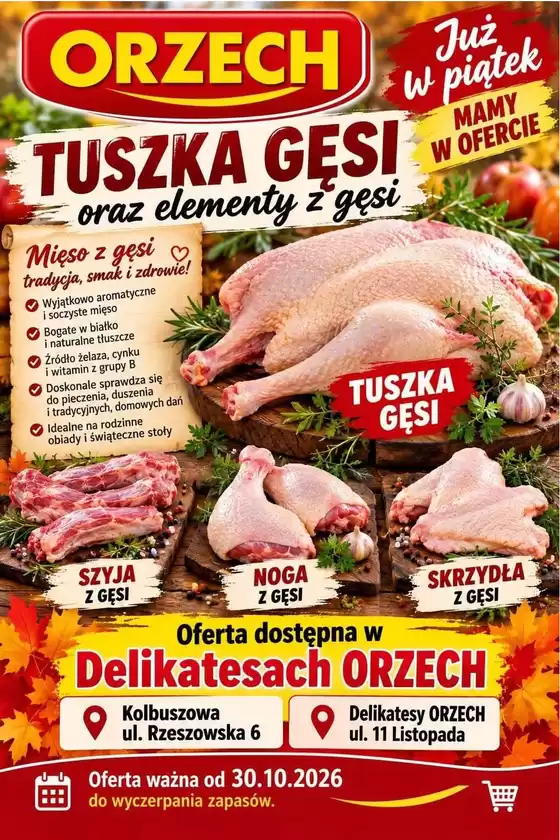 Katalog Orzech w: Chodzież | Świetna oferta dla wszystkich klientów | 2026-10-30T00:00:00.000Z - 2026-11-13T00:00:00.000Z