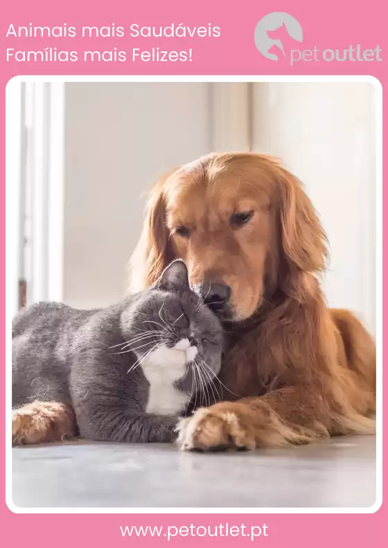 Catálogo Petoutlet em Guimarães | Folhetos Temáticos | 2025-08-11T00:00:00.000Z - 2025-08-15T00:00:00.000Z