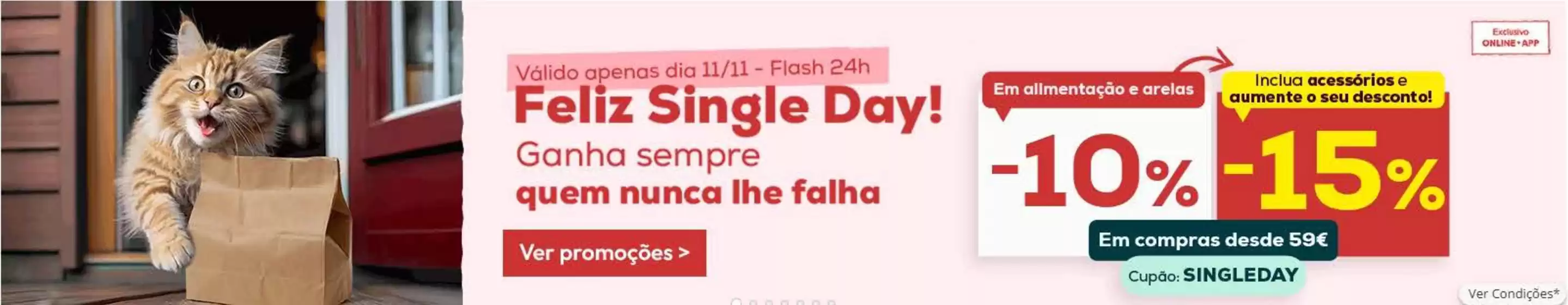 Catálogo Kiwoko em Fundão | Flash 24H | 2025-11-11T00:00:00.000Z - 2025-11-11T00:00:00.000Z