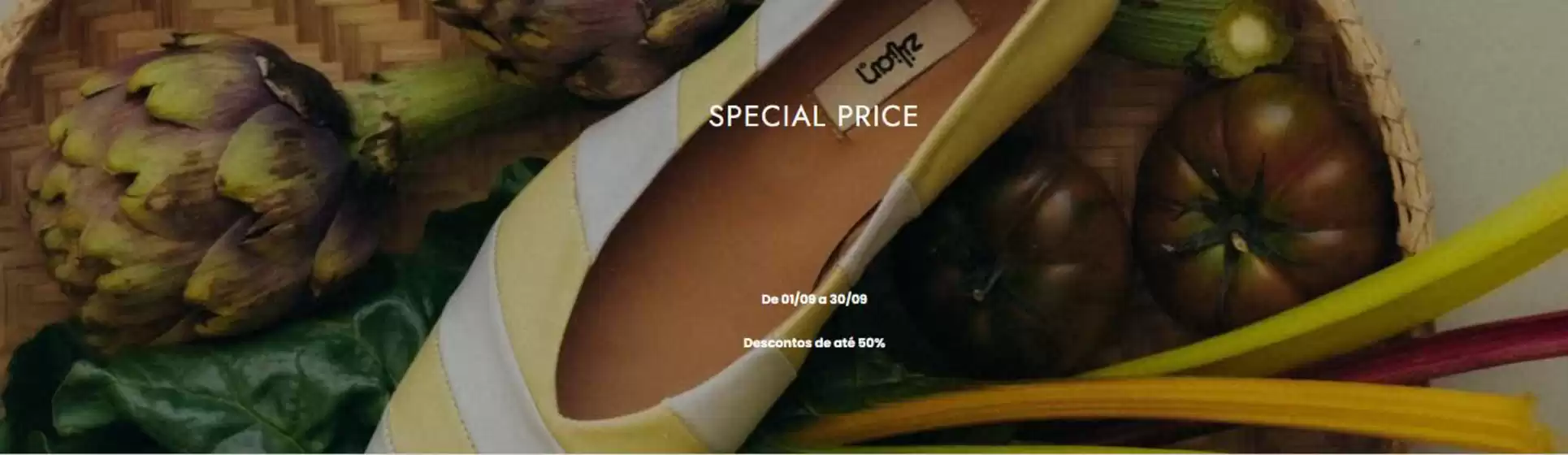Catálogo Zilian | Special price | 2026-09-10T00:00:00.000Z - 2026-09-30T00:00:00.000Z