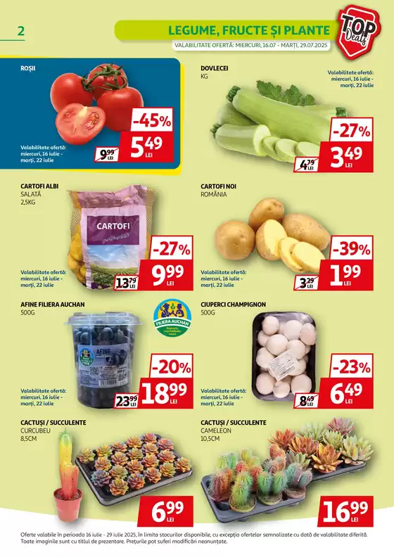 Catalog Auchan