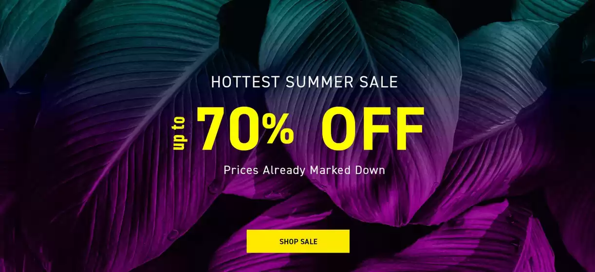 Hottest Summer Sale