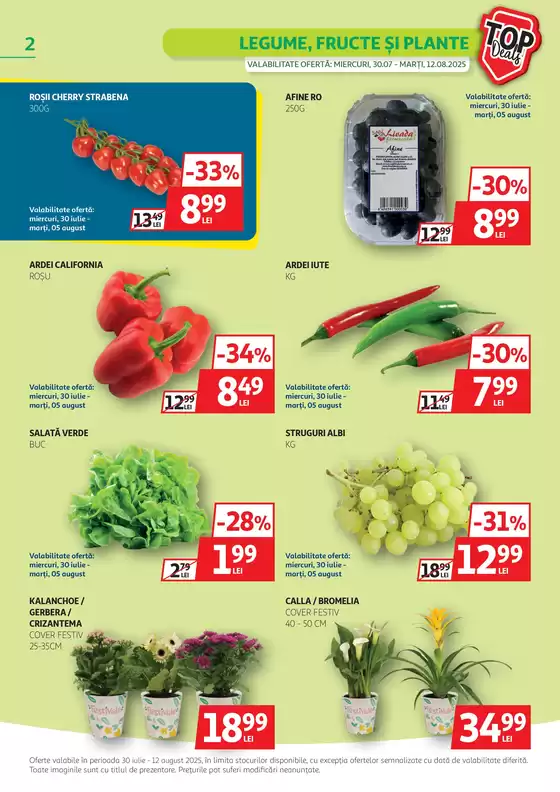 Catalog Auchan