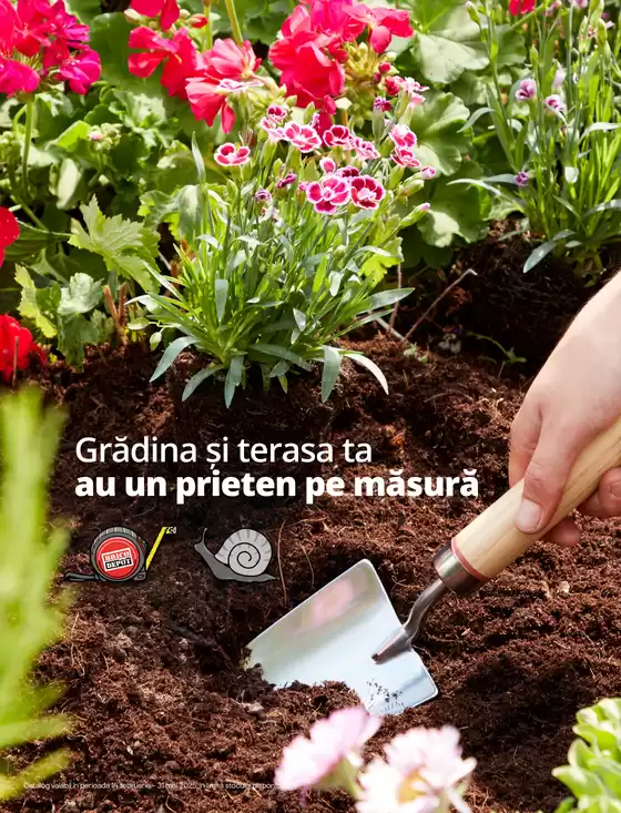 Catalog Semințe