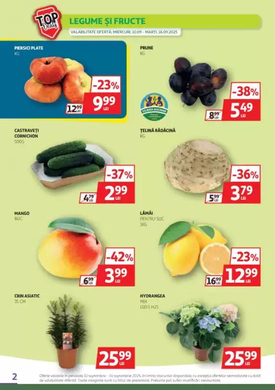 Catalog Auchan