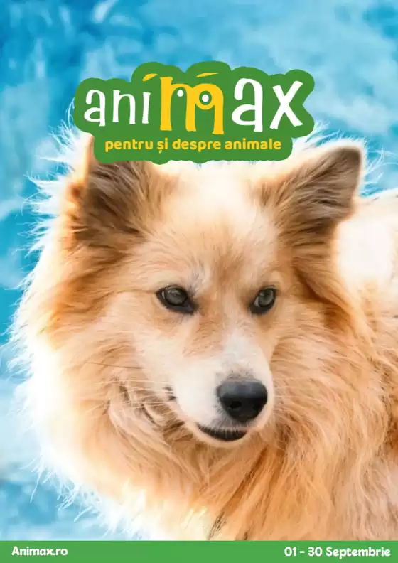 Catalog Animax București | Reduceri și promoții | 2025-09-14T00:00:00.000Z - 2025-09-28T00:00:00.000Z