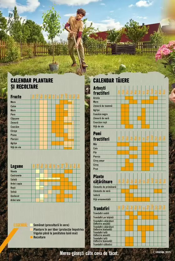 HORNBACH RO Catalogul special de grădină
