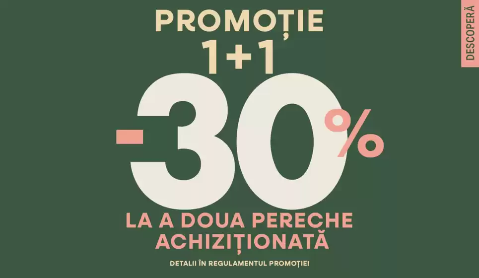 Promoție 1+1