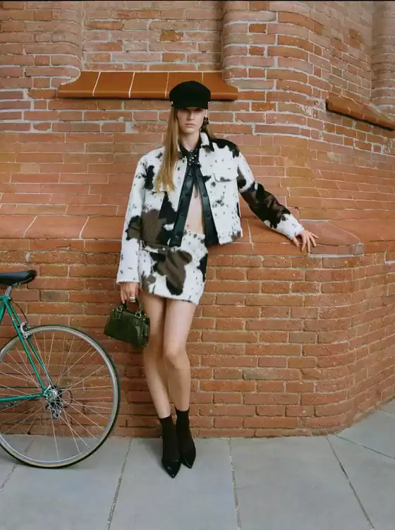 Stradivarius Catalog