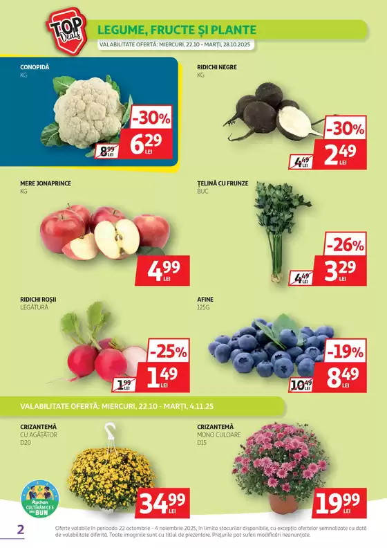 Catalog Auchan