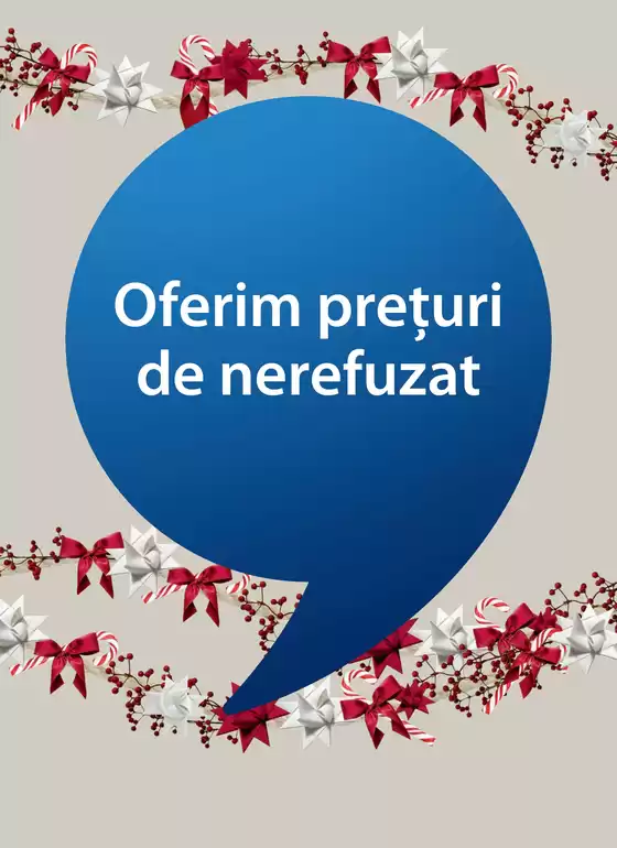 Ofertele noastre curente