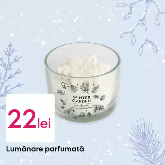 Cele mai bune chilipiruri ale noastre