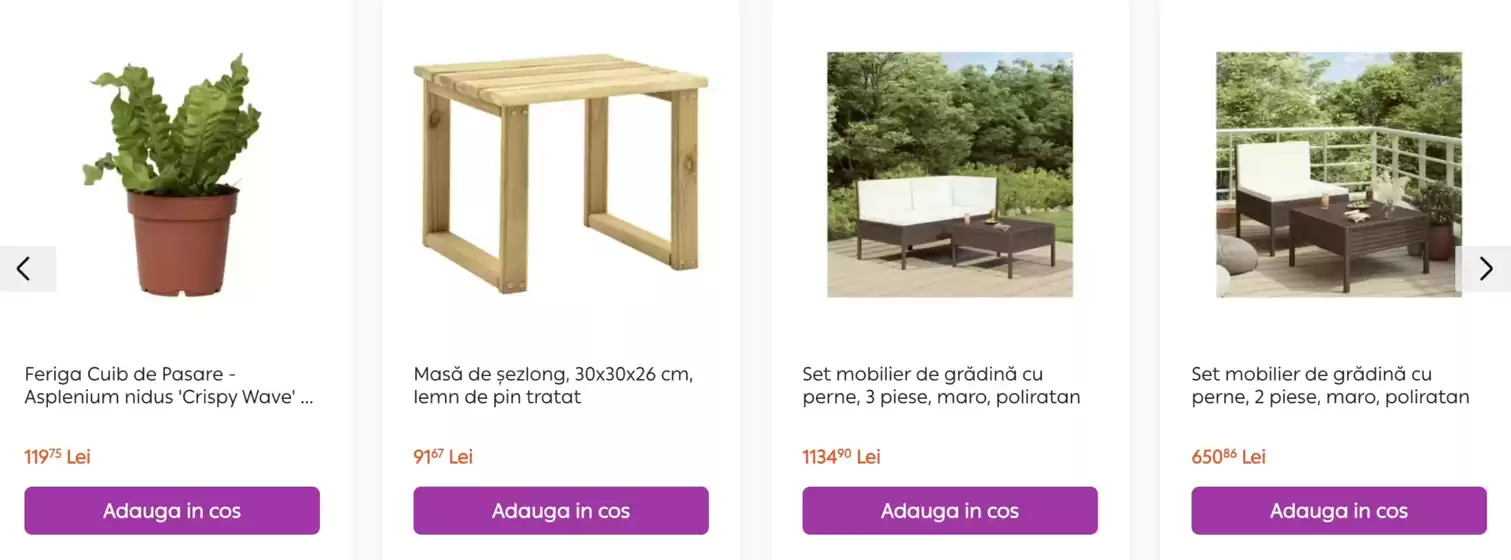 Catalog Vivre Popești-Leordeni | Catalog Vivre | 2025-10-30T00:00:00.000Z - 2025-11-10T00:00:00.000Z