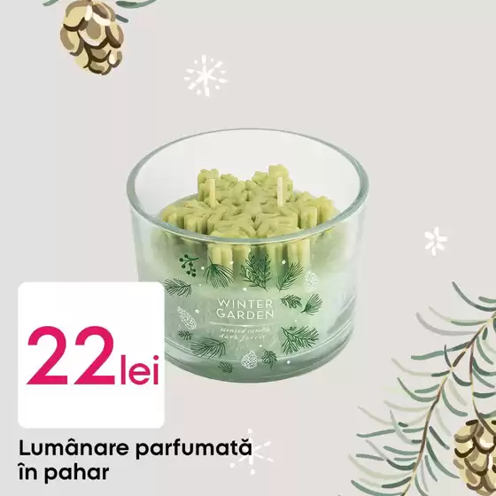 Oferte exclusive pentru clienții noștri