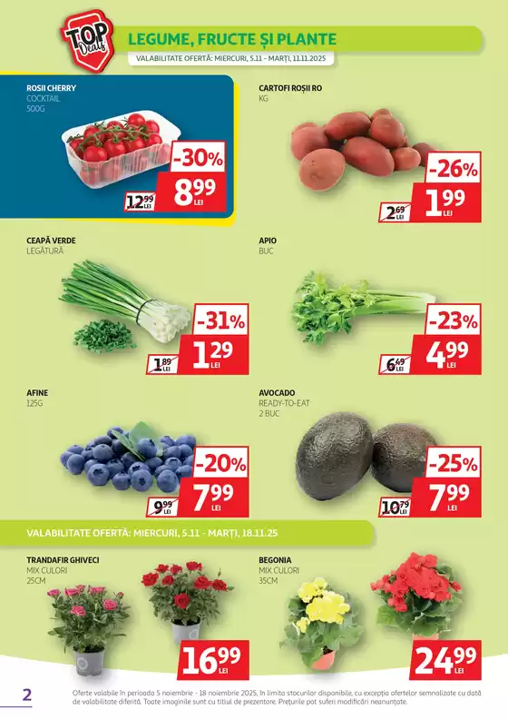 Catalog Auchan
