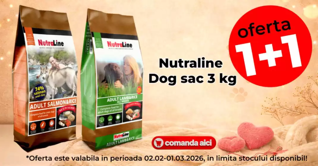 Catalog Zoomania Voluntari | Zoomania Ofertele | 2026-02-02T00:00:00.000Z - 2026-03-01T00:00:00.000Z