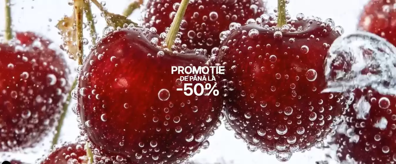 Catalog Terranova | Promoție de până la -50% | 2026-06-12T00:00:00.000Z - 2026-06-25T00:00:00.000Z
