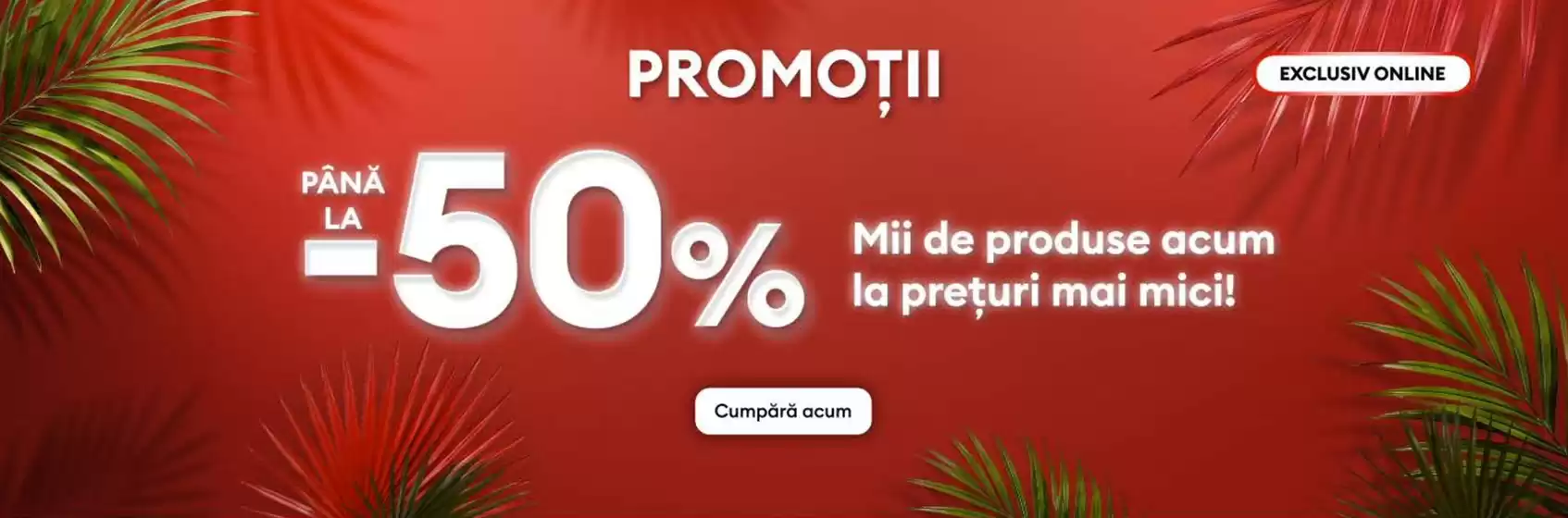 Catalog Sinsay | Sinsay Promoții | 2026-06-15T00:00:00.000Z - 2026-06-28T00:00:00.000Z