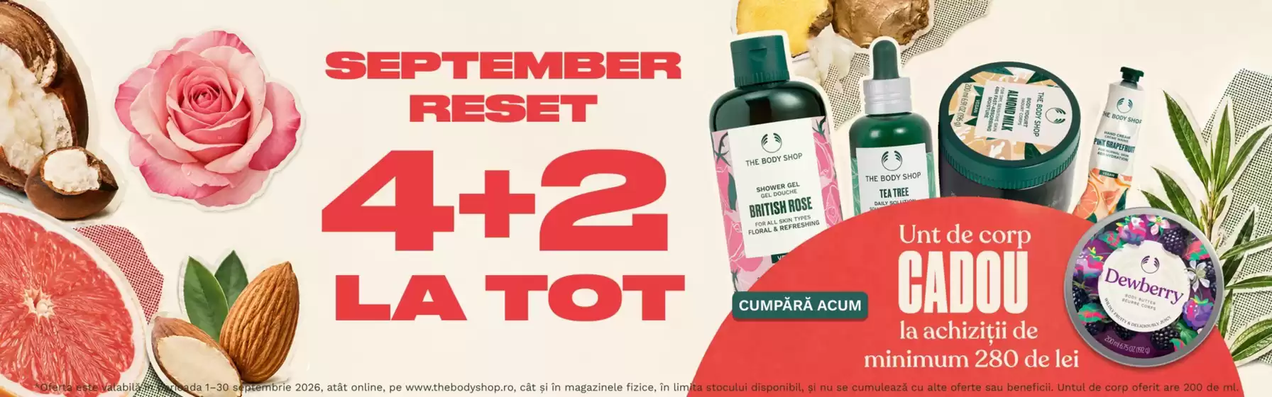 Catalog The Body Shop Ovidiu | SEPTEMBER RESET | 2026-09-01T00:00:00.000Z - 2026-09-30T00:00:00.000Z