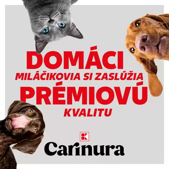 Katalóg Kaufland | Naše najlepšie výhodné ponuky | 2026-09-13T00:00:00.000Z - 2026-09-27T00:00:00.000Z