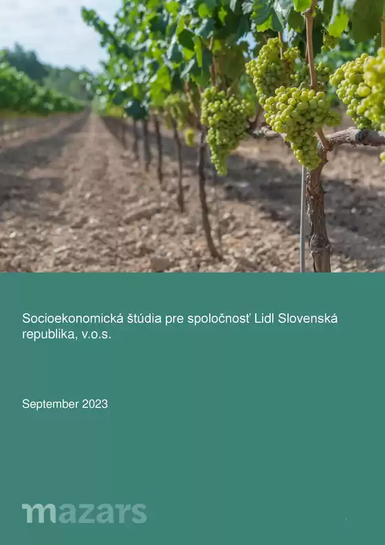 Socioekonomická štúdia Lidl