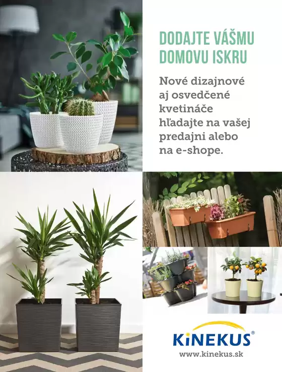 k magazin 2018 jar web