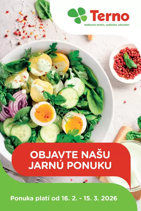 Katalóg TERNO v Gabčíkovo | Atraktívne špeciálne ponuky pre všetkých | 2026-02-16T00:00:00.000Z - 2026-03-15T00:00:00.000Z